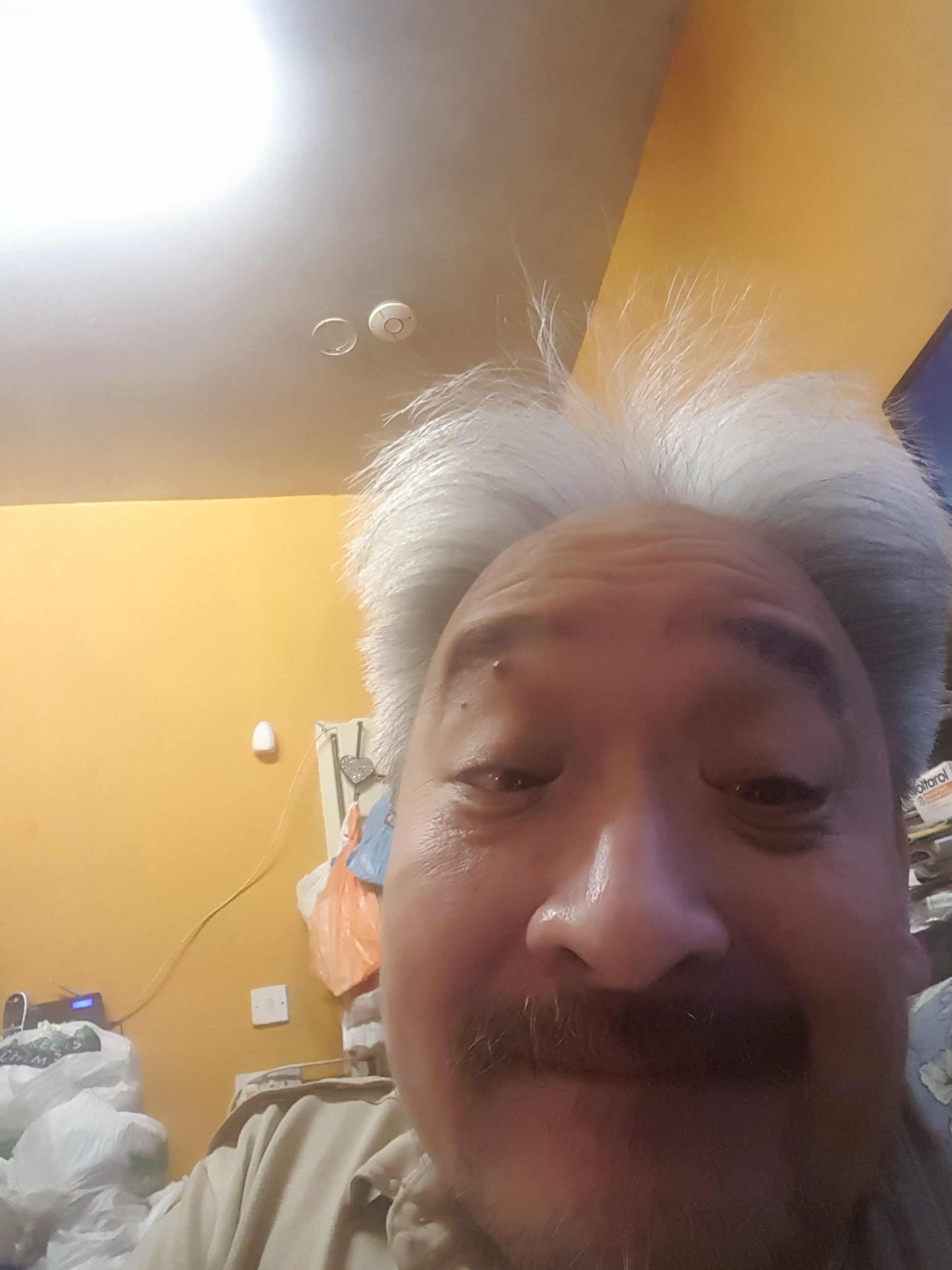 Shy to Shy Eye 2 Eye